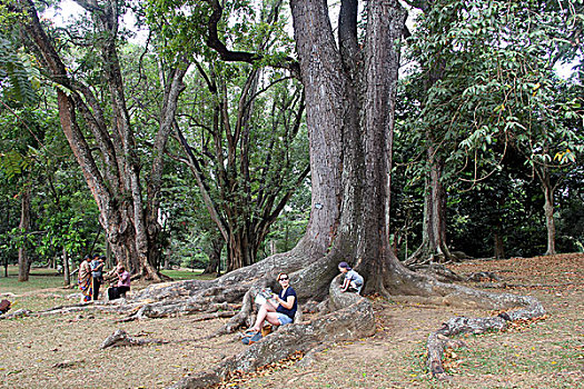 chốt so gio vang
