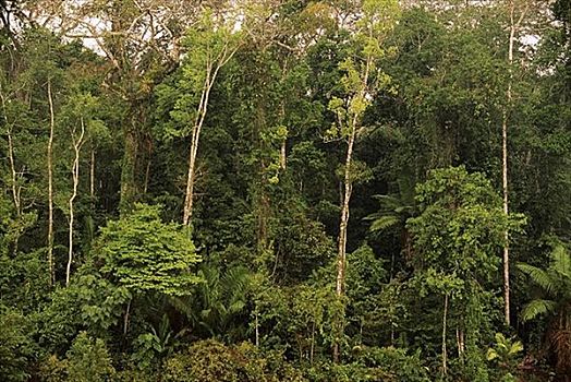 bạch thủ lô khung 3 ngày miễn phí
