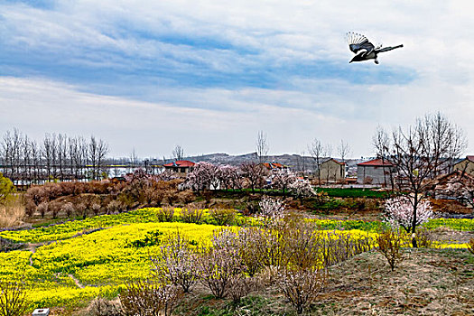 xổ số vĩnh