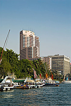 soi cau mb bach thu