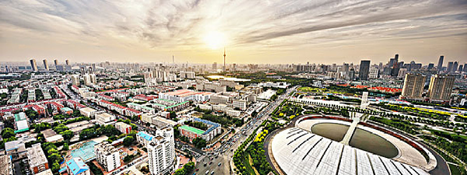 gà đá cựa sắt tiền lớn
