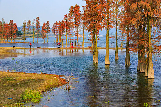 phân tích lô đề