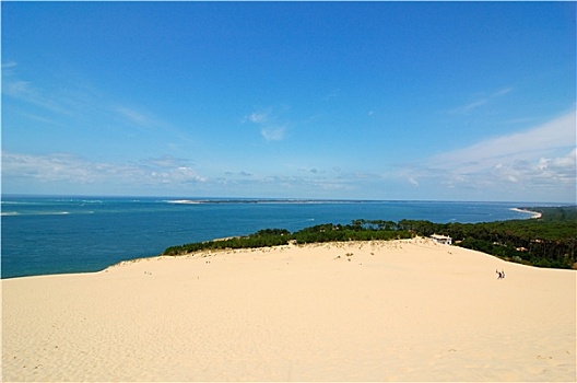 sổ ket qua