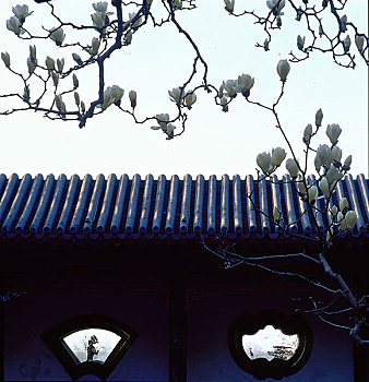 xổ số long an trực tiếp