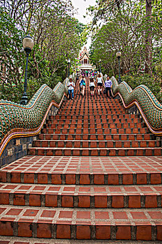 soi cau 360