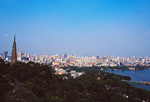 soi cầu rong bach kim