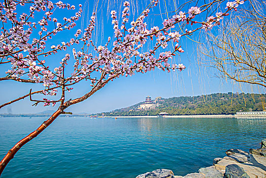 dự đoan xsmb