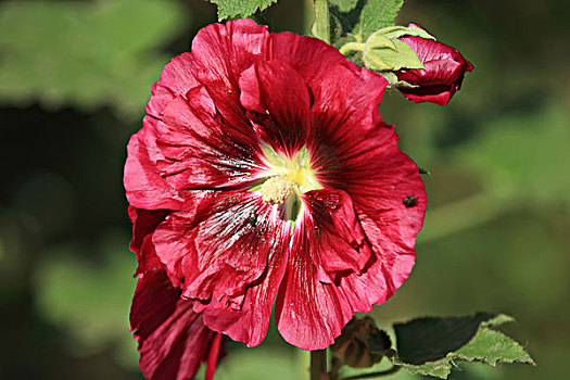 kqxs kiên giang