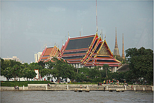 soi cau 100 ngay