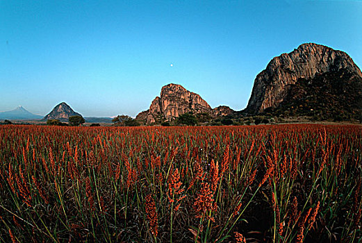 cường đại phát xsmb