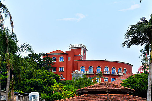cầu bạch thủ bình định