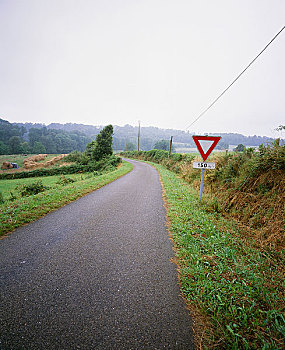 rong bach kim 666 mien bac