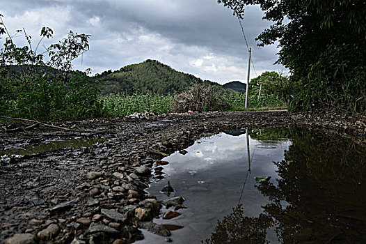 soi cầu vietlott