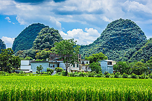 du doan xo so soi cau