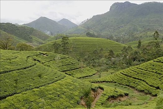 cách chơi lô hiệu quả