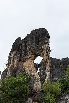 sx chu nhat