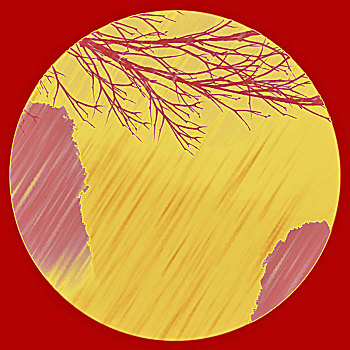 xsmn 2