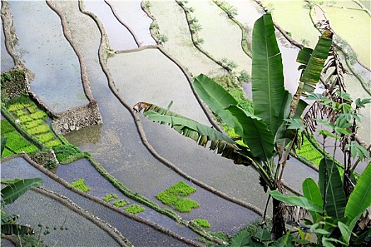 cầu lô ba miền