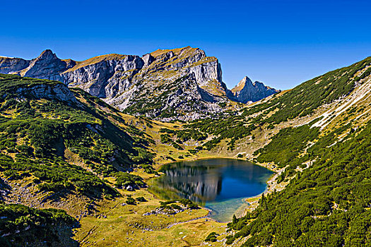 vua săn cá