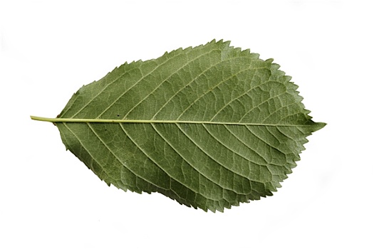 xổ số bà rịa