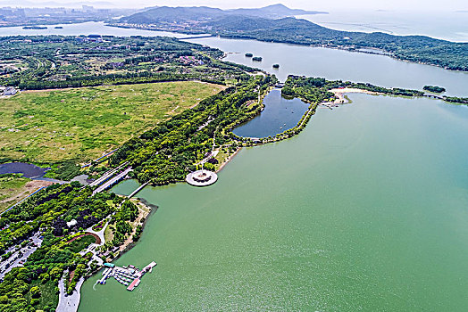 soi bạch thủ lô