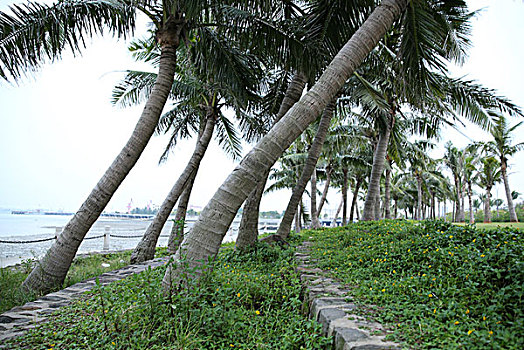 xổ số hà nội hôm qua