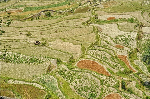 cách soi lô đề