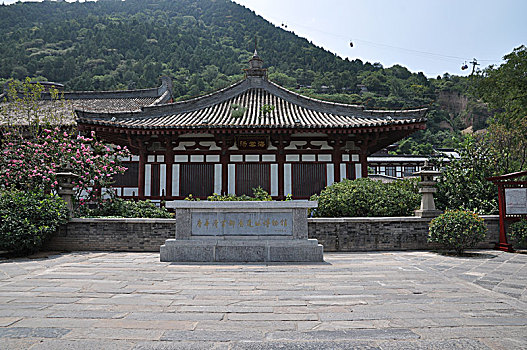 soi cau rong bach kim mb