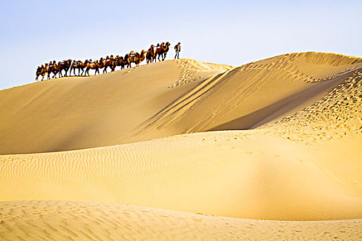 dự đoán miền nam đài phát
