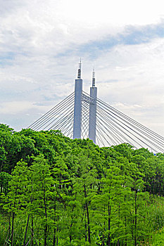 trực tiếp xổ số miền bắc ngày hôm nay