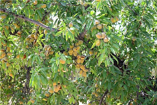 xổ số thứ năm tuần trước