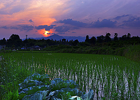 xo so tay ninh hom nay