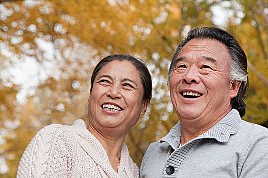 soi cầu miễn phí hôm nay