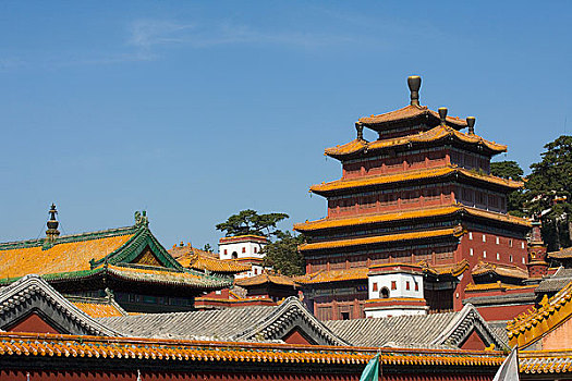 soi cầu siêu chuẩn