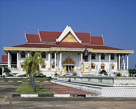 soi lo bach thu