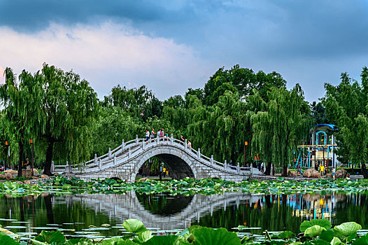 cách tắm gà tre đá