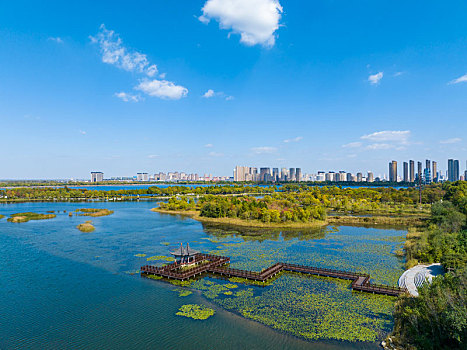 xổ số tiền