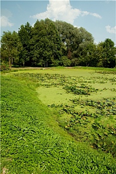 xổ số minh ngọc thứ 7