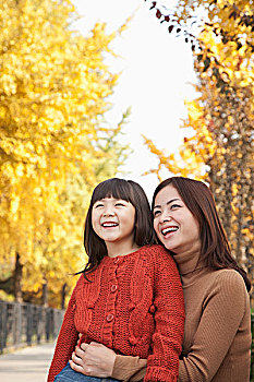 lô rơi miền bắc
