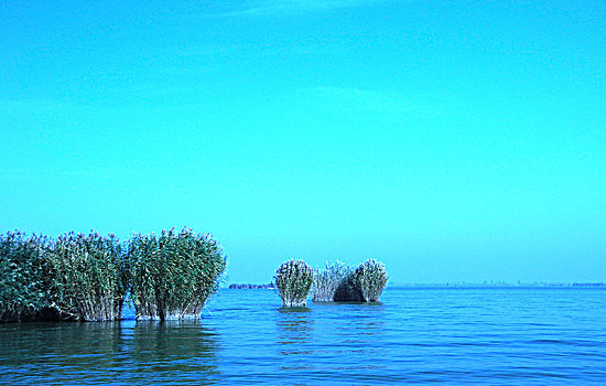 lo đep hom nay