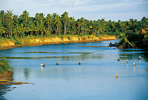 soi cau bach thu lo de