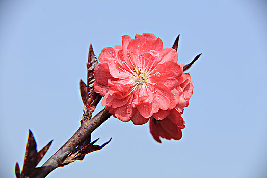 dự đoán mb