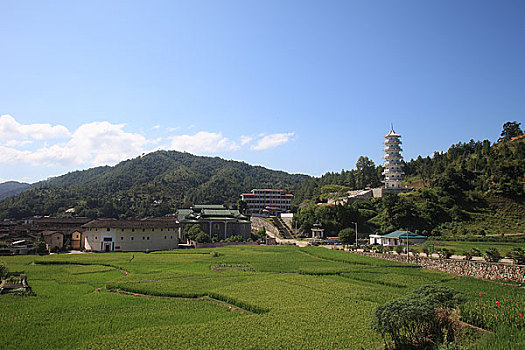dự đoán mb