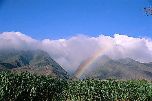 dự đoán số đề