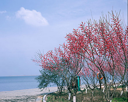 soi lo bach thu hom nay