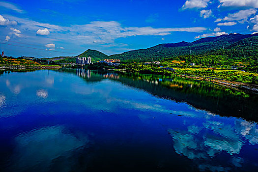 cầu bạch thủ