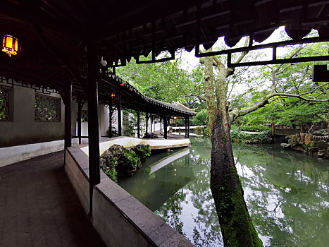 soi cầu long an