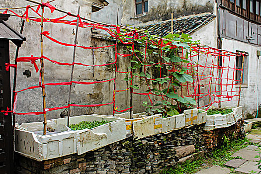 hom nay danh bach thu con gi