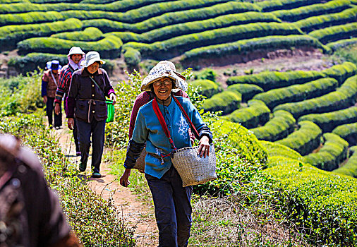 xổ số đài bắc hôm qua