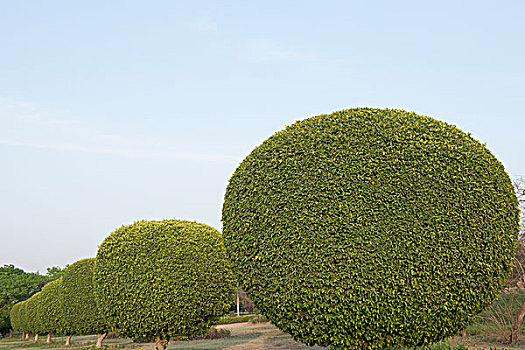 đánh lô 3 càng
